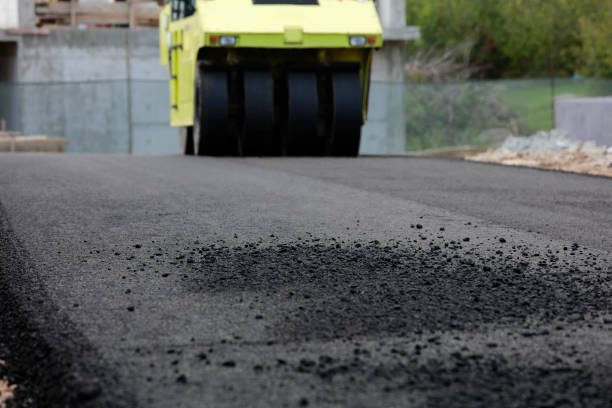 Best Local Driveway Pavers  in Warson Woods, MO